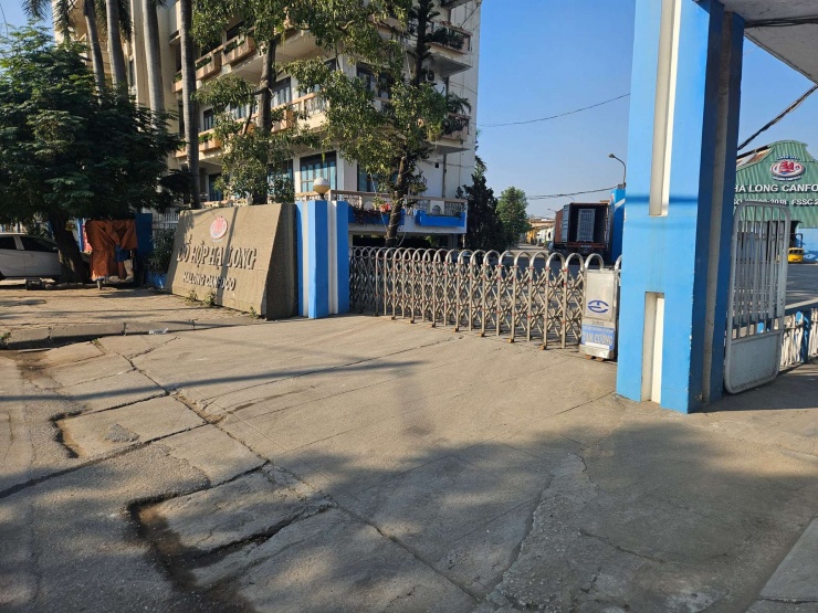 Công ty Cổ phần đồ hộp Hạ Long hoạt động thế nào sau khi bị phát hiện 120 tấn thịt lợn nhiễm bệnh? - 1