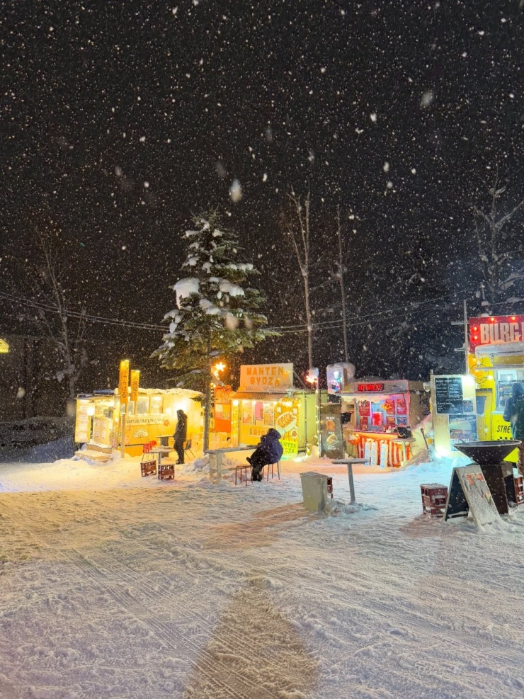 Tăng Thanh Hà đi Nhật trượt tuyết khởi đầu năm 2026 - 7