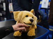 Những công nghệ kỳ lạ nhất tại CES 2026