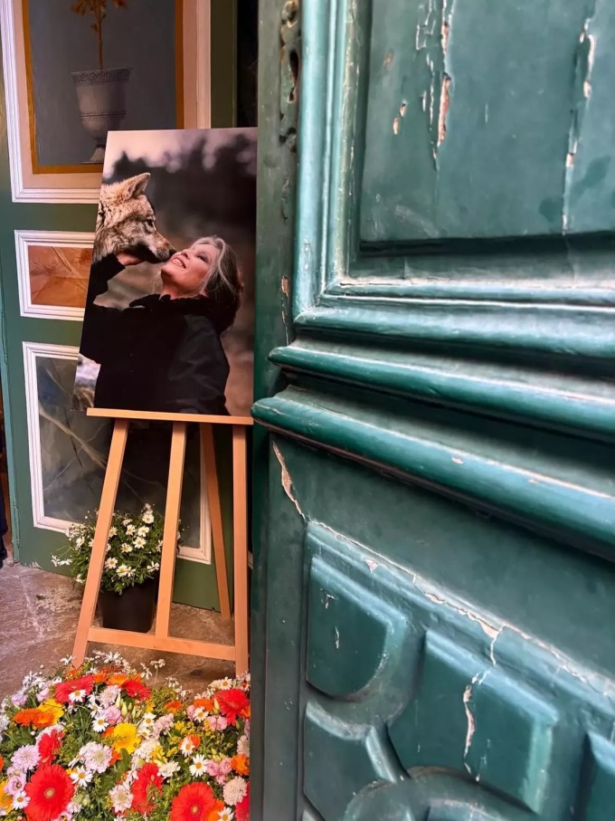 Chồng con tiễn đưa minh tinh Brigitte Bardot về nơi an nghỉ - 10