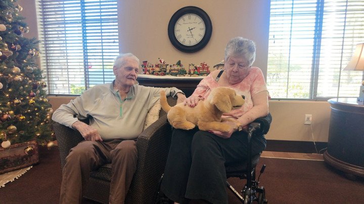 Một chú chó Labrador Retriever robot do Tombot chế tạo. (Nguồn: Kenny Fried)