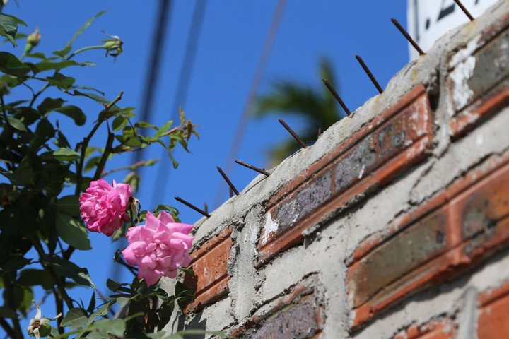 Những chiếc đinh được cắm trên bờ tường rào của Trung tâm Công tác xã hội Hải Hà, cơ sở phường An Sinh.