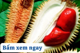 Tin tức sức khỏe - 3 loại quả mùa lạnh tốt như “nhân sâm” cho người bị đau xương khớp