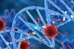 5 vị trí tế bào ung thư dễ 'đột nhập', người Việt nên hiểu đúng để ngừa bệnh từ sớm