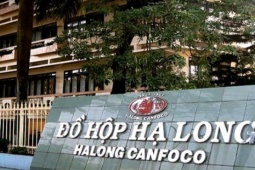 Vụ hơn 120 tấn thịt tả heo châu Phi tuồn vào nhà máy: Triệu tập lãnh đạo Công ty CP đồ hộp Hạ Long