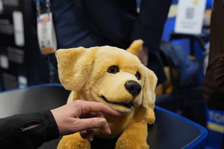 Những công nghệ kỳ lạ nhất tại CES 2026