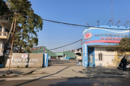 Hai tấn pate của Công ty Đồ hộp Hạ Long bị tiêu hủy vì liên quan nguyên liệu thịt lợn bệnh