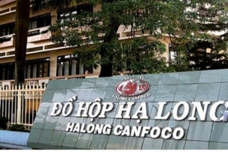 Vụ 130 tấn thịt lợn nhiễm dịch: Khi doanh nghiệp nói “vô can”, trách nhiệm của ai?