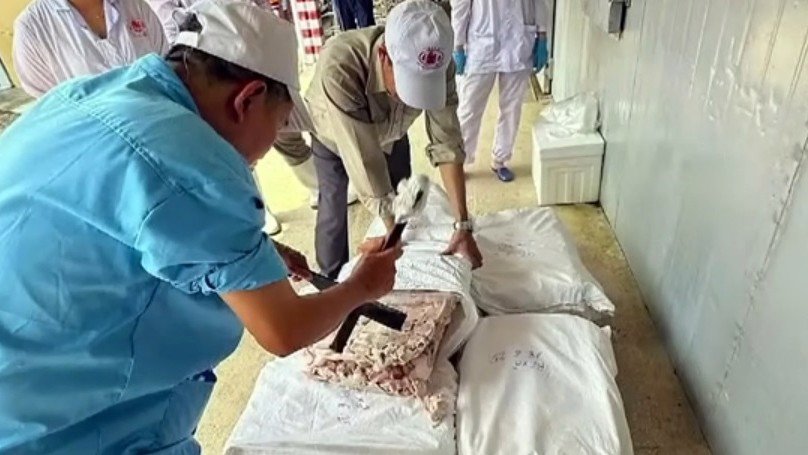 Lực lượng chức năng lấy mẫu thịt lợn để kiểm định.