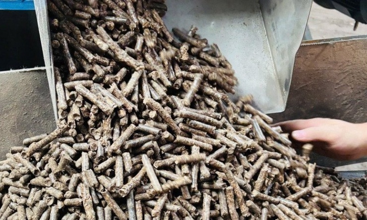 Viên nén gỗ Việt Nam được thị trường Nhật Bản, Hàn Quốc ưa chuộng. Ảnh: Đỗ Hương/VPG