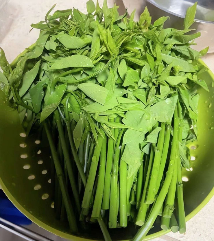 Loại rau dân dã, tươi ngon, giòn tan, ăn vào mùa đông giúp, giải độc gan, hỗ trợ giấc ngủ, bảo vệ mắt - 4