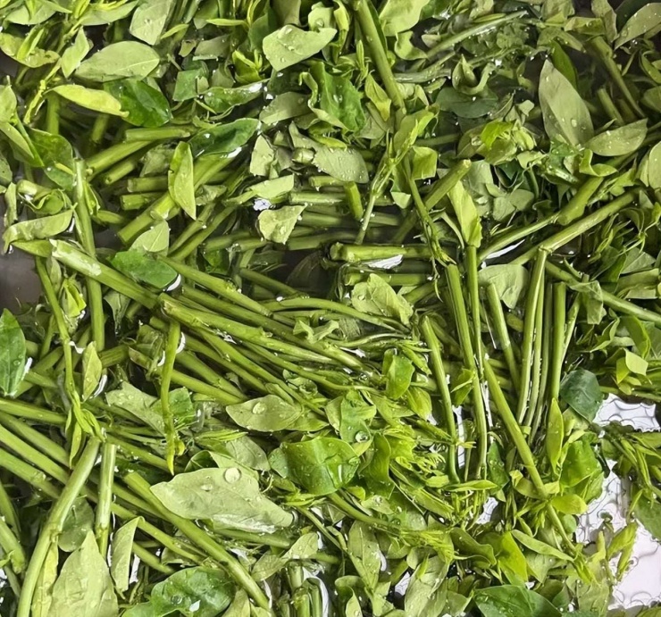 Loại rau dân dã, tươi ngon, giòn tan, ăn vào mùa đông giúp, giải độc gan, hỗ trợ giấc ngủ, bảo vệ mắt - 6