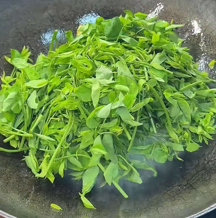 Loại rau dân dã, tươi ngon, giòn tan, ăn vào mùa đông giúp, giải độc gan, hỗ trợ giấc ngủ, bảo vệ mắt - 9