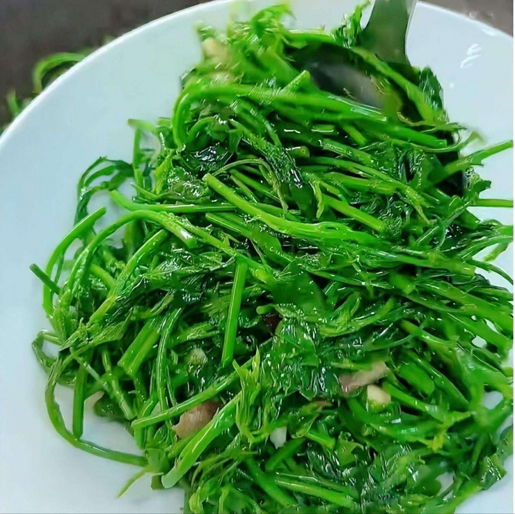 Loại rau dân dã, tươi ngon, giòn tan, ăn vào mùa đông giúp, giải độc gan, hỗ trợ giấc ngủ, bảo vệ mắt - 13