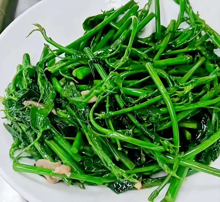 Loại rau dân dã, tươi ngon, giòn tan, ăn vào mùa đông giúp, giải độc gan, hỗ trợ giấc ngủ, bảo vệ mắt - 14