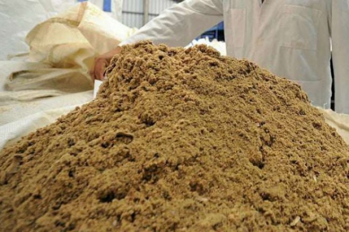 Trung Quốc đang mua nhiều nhất thế giới phế phụ phẩm ngành thủy sản, Việt Nam đã bán được 300 triệu USD