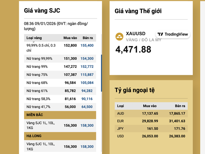 Giá vàng tăng trở lại vào sáng nay