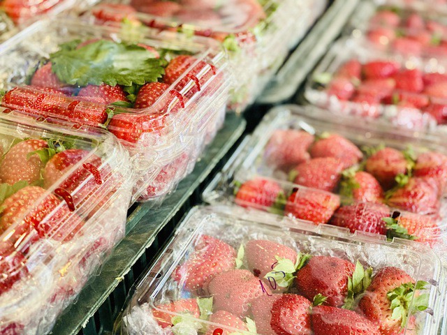 Dâu tây Mộc Châu đang bắt đầu vào mùa và có giá bán tương đối cao.