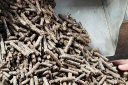 Biến phế phẩm thành hàng có giá cao, doanh nghiệp lần đầu ôm về tỷ USD