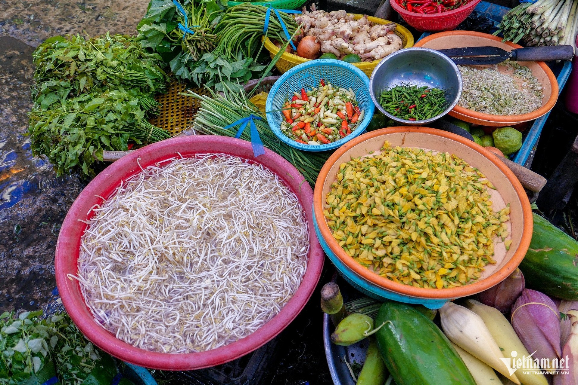 Các loại rau "trời cho" của miền Tây sông nước. Ảnh: Ngoại Tý/Linh Trang