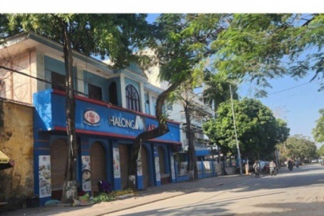 Vụ hơn 130 tấn thịt nhiễm dịch tả heo châu Phi, thông tin mới từ Công ty CP Đồ hộp Hạ Long