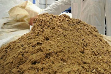 Trung Quốc đang mua nhiều nhất thế giới phế phụ phẩm ngành thủy sản, Việt Nam đã bán được 300 triệu USD