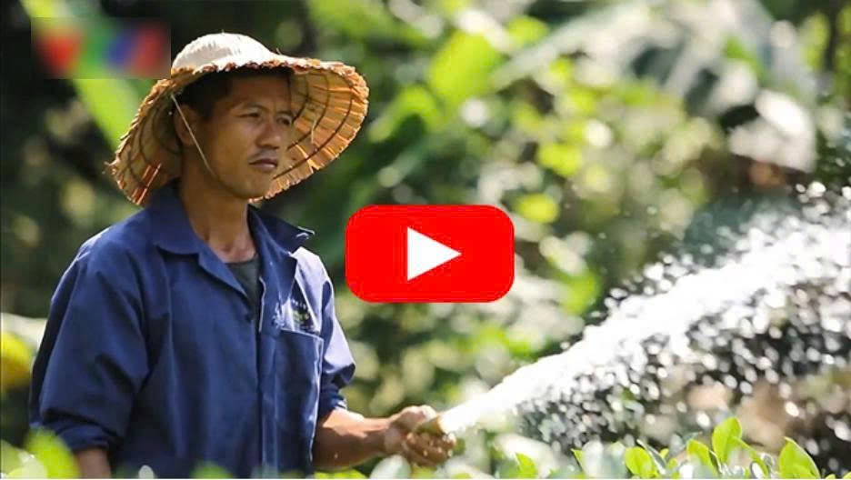 “Tôi phát hiện 10 đầu ngón tay cứ buốt, các khớp ngón tay cứ rức, không duỗi được ra. Cái gáy tê, nhức không ngoái được cổ, đặc biệt là 2 bên bả vai, đau nhất là vào buổi sáng, đi không đi được cứ chùn xuống” – Anh Thắng chia sẻ