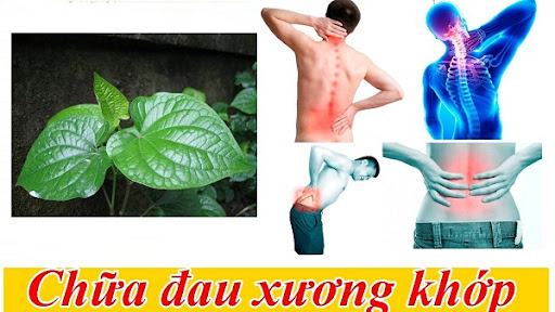Thoát đau nhức lưng, tê bại tay chân ngày rét lạnh nhờ loại rau dại mọc quanh vườn - 1