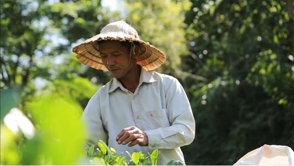 Bây giờ anh đã có thể chăm lo việc nhà bề bộn bấy lâu