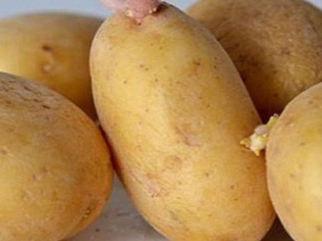 Những món ăn nguy hiểm có thể gây ngộ độc bạn cần biết