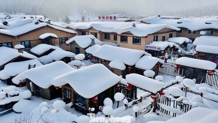 Vỡ òa cảnh siêu thực ngôi làng ở Hắc Long Giang, khách đến chỉ biết trầm trồ - 2