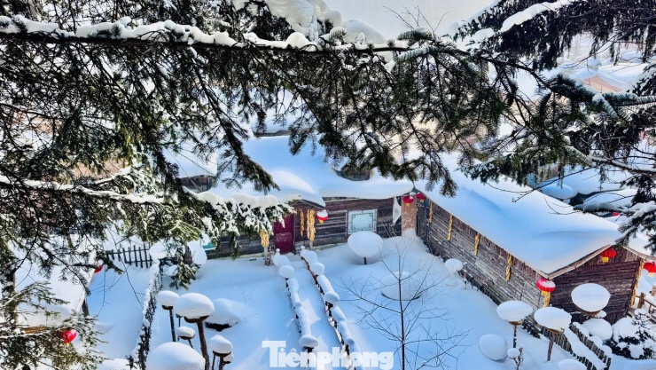 Vỡ òa cảnh siêu thực ngôi làng ở Hắc Long Giang, khách đến chỉ biết trầm trồ - 3