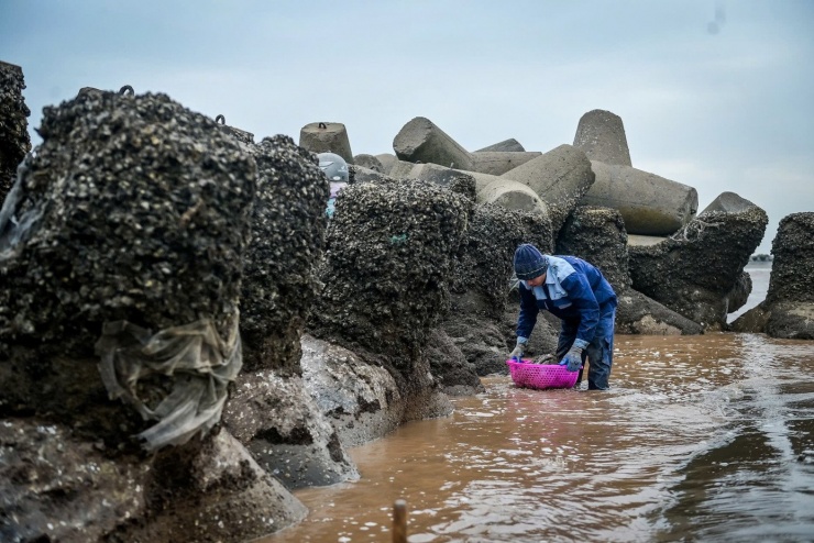 Mưu sinh trên bãi biển giữa cái lạnh tê cứng chân tay - 8