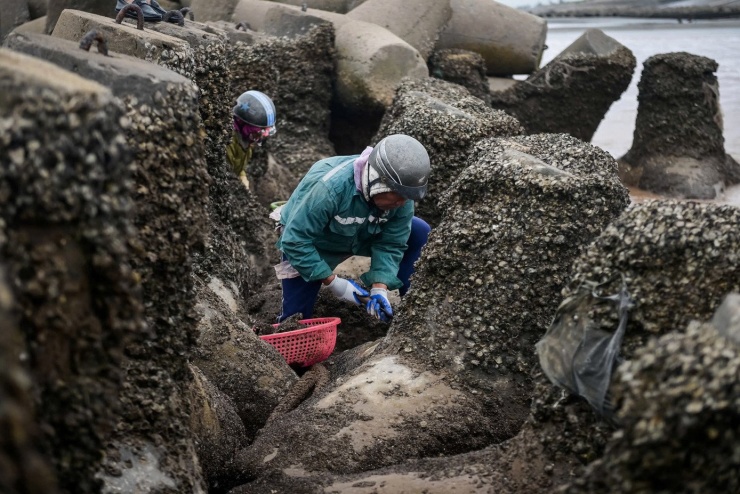 Mưu sinh trên bãi biển giữa cái lạnh tê cứng chân tay - 9