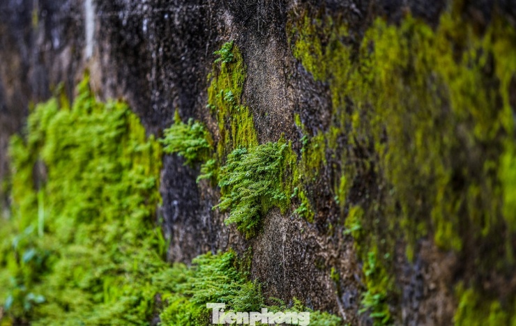 Ngôi chùa hơn 350 năm giữa vùng đất cổ Đồ Bàn - 7