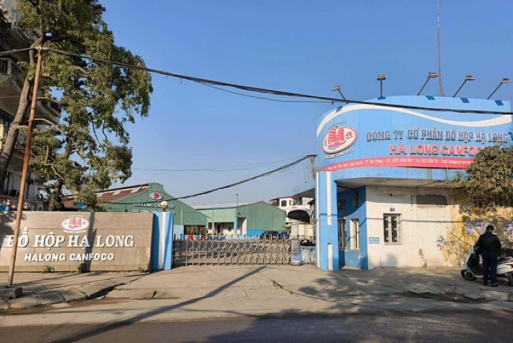 Bắt khẩn cấp Tổng giám đốc Công ty Cổ phần Đồ hộp Hạ Long