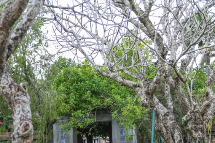 Ngôi chùa hơn 350 năm giữa vùng đất cổ Đồ Bàn