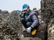 Mưu sinh trên bãi biển giữa cái lạnh tê cứng chân tay