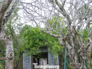 Ngôi chùa hơn 350 năm giữa vùng đất cổ Đồ Bàn