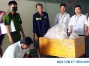 Tiêu hủy 2 tấn thịt heo đang biến đổi màu sắc ở TP.HCM