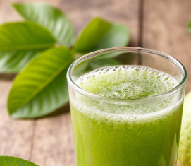 Nước ép lá ổi giàu chất chống oxy hóa, hỗ trợ tiêu hóa, tăng cường miễn dịch và tốt cho sức khỏe tổng thể.