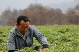 'Chiêu thức' của người đàn ông sinh năm 1984 bán rau kiếm hơn 37 tỷ đồng/năm