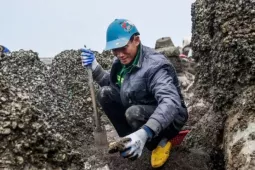 Mưu sinh trên bãi biển giữa cái lạnh tê cứng chân tay