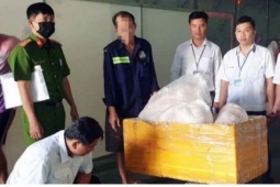 Tiêu hủy 2 tấn thịt heo đang biến đổi màu sắc ở TP.HCM