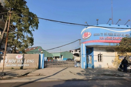 Bắt khẩn cấp Tổng giám đốc Công ty Cổ phần Đồ hộp Hạ Long