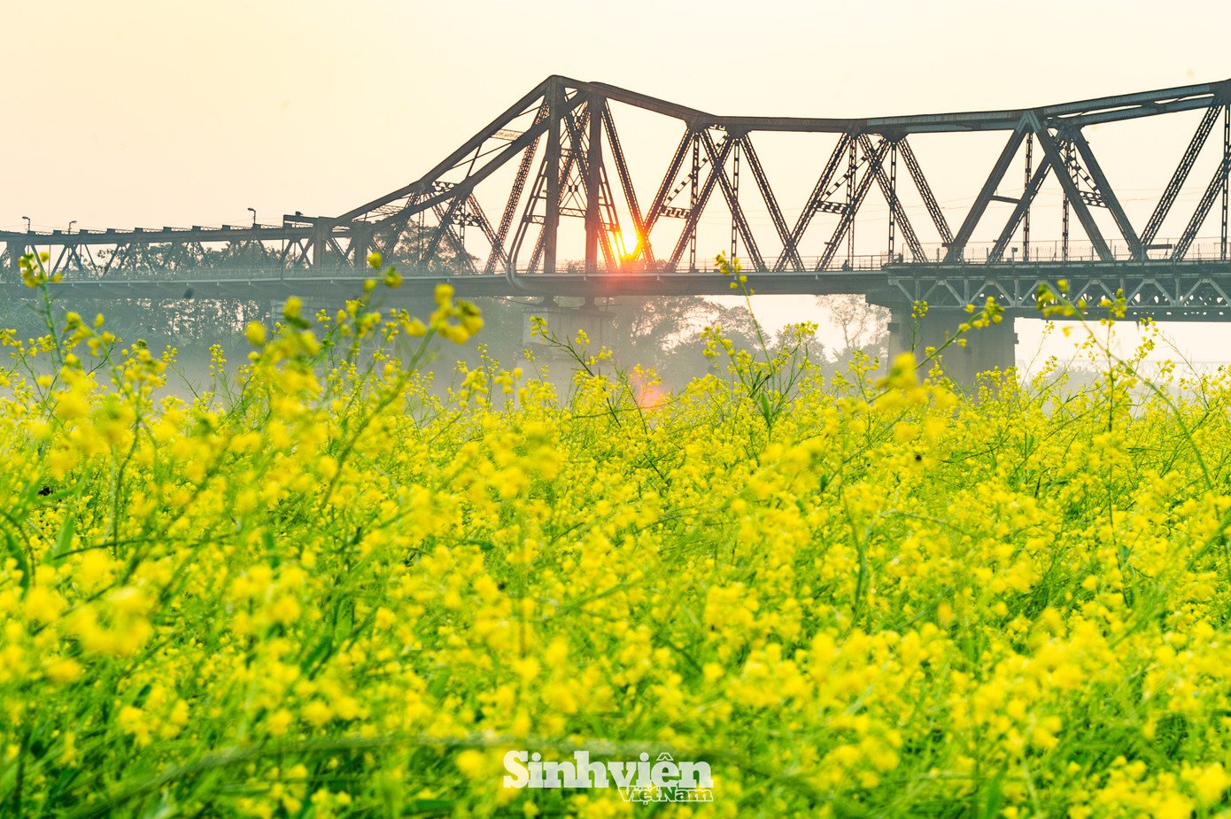 Bất chấp cái lạnh, giới trẻ Hà Nội dậy sớm 'săn' khoảnh khắc vàng bên chân cầu Long Biên - 4