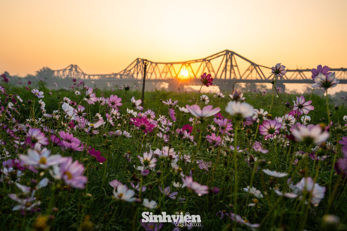 Bất chấp cái lạnh, giới trẻ Hà Nội dậy sớm 'săn' khoảnh khắc vàng bên chân cầu Long Biên - 3