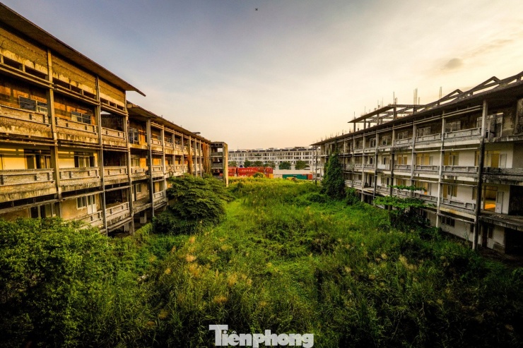 Cảnh hoang tàn bên trong ngôi trường 'đắp chiếu' 8 năm ở TPHCM - 2