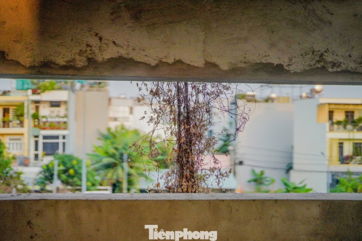 Dự án nằm lọt thỏm giữa khu dân cư hiện hữu. Việc công trình bỏ hoang lâu năm không chỉ gây lãng phí mà còn ảnh hưởng trực tiếp đến môi trường sống của các hộ dân xung quanh.