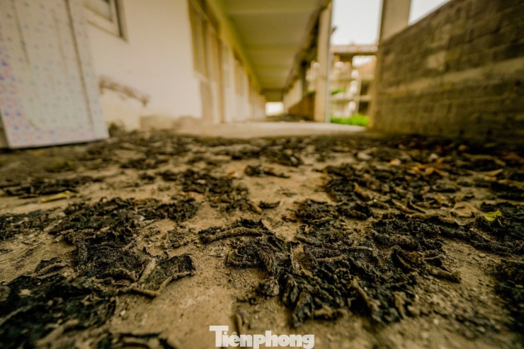 Dưới nền, lớp rong rêu đóng bám dày, chồng lên nhau sau nhiều mùa mưa nắng.